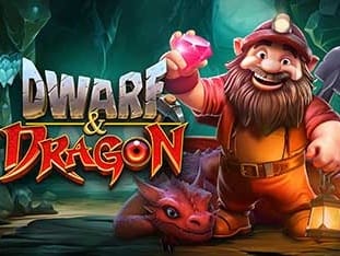 Dwarf & Dragon game screenshot